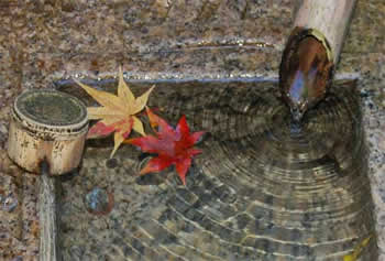 Water basin at Ryoanji temple